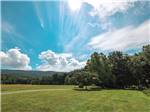 Meadow in the trees at ENDLESS CAVERNS - thumbnail