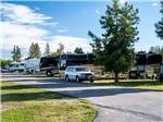 View larger image of A row of RVs in sites at MOUNTAIN VIEW RV PARK image #9