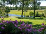 Flowers and trees near the water at MOUNTAIN GLEN RV PARK & CAMPGROUND - thumbnail