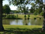 Trees near the water at MOUNTAIN GLEN RV PARK & CAMPGROUND - thumbnail