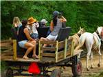 People on a horse drawn hayride - thumbnail