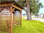 View larger image of A swinging bench in a grassy area at SUNSHINE VILLAGE image #10