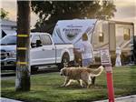 View larger image of A lady and dog walking to their site at BAKERSFIELD RIVER RUN RV PARK image #4