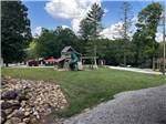 A play structure on a grassy playground - thumbnail