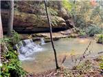 A little waterfall in a tiny pond - thumbnail