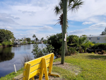 Bench looking over the water Myakka River RV Resort - thumbnail