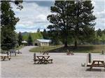 A group of gravel RV sites with picnic tables at SKY MOUNTAIN RESORT RV PARK - thumbnail
