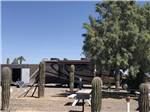 A Seneca trailer parked next to a bunch of cactus at 3 DREAMERS RV PARK - thumbnail