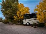 Large tan RV parked between mustard colored trees at KIVA RV PARK & HORSE MOTEL - thumbnail