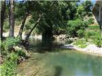 The river by shade trees - thumbnail