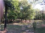 A group of grassy RV sites at R & D FAMILY CAMPGROUND - thumbnail