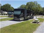 View larger image of Some of the gravel pull thru RV sites at PENSACOLA RV PARK image #11