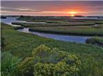 View larger image of The water surrounded by grass at sunset at LEVY COUNTY VISITORS BUREAU image #1