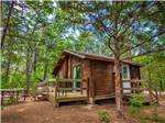 Log cabin with deck and picnic table in the woods at THOUSAND TRAILS LAKE TEXOMA - thumbnail