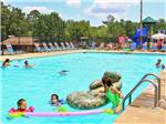 Kids swimming in pool at THOUSAND TRAILS FOREST LAKE - thumbnail