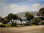 View larger image of RVs parked at PIO PICO RV RESORT  CAMPGROUND image #5