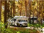 View larger image of RVs camping at BEND SUNRIVER RV image #9