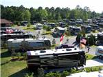View larger image of An aerial view of motorhomes in sites at COASTAL GEORGIA RV RESORT image #3