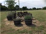 Wine barrel planters with flowers at EAST VIEW RV RANCH - thumbnail