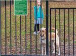 View larger image of A tan dog and girl inside a dog park at MADISON VINES RV RESORT  COTTAGES image #9