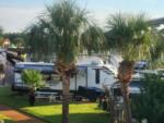 View of RVs through palm trees at PERDIDO KEY RV RESORT - thumbnail