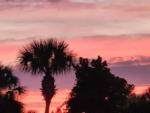 Palm trees against a colorful sunset at PERDIDO KEY RV RESORT - thumbnail