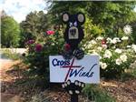 A small Cross Winds sign being held by a wooden bear at Cross Winds Family Campground - thumbnail