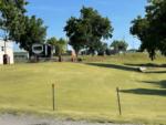 Grassy area - thumbnail