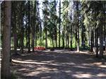 View larger image of Some of the dirt campsites at TANANA VALLEY CAMPGROUND image #3