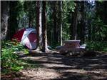 View larger image of Tent camping near picnic table at TANANA VALLEY CAMPGROUND image #4