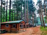 A row of rustic rental cabins at APPLE CREEK CAMPGROUND & RV PARK - thumbnail