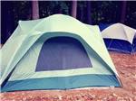 Tents in the tenting area at APPLE CREEK CAMPGROUND & RV PARK - thumbnail