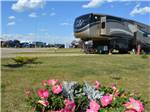 View larger image of Trailer camping at ST ALBERT RV PARK image #4