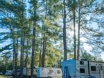 RV's parked at site Bass Lake RV Campground - thumbnail