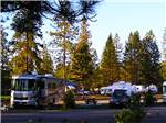Motorhomes and trailers parked at LONE MOUNTAIN RESORT - thumbnail
