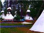 A lot of the teepee rentals at LONE MOUNTAIN RESORT - thumbnail