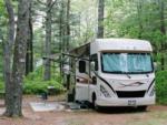 RV parked in tree lined sites at PINEWOOD LODGE CAMPGROUND - thumbnail