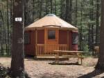 Safari tent at PINEWOOD LODGE CAMPGROUND - thumbnail