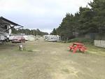 Picnic table at site Cedar To Surf Campground - thumbnail