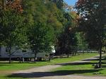 RVs parked under trees at Nelson's Family Campground - thumbnail