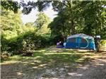 A tent in a site under trees at SHADY KNOLL CAMPGROUND - thumbnail