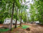 RVs at site under tall trees at Camp Cardinal RV Resort - thumbnail