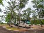 Parked RV at site Camp Cardinal RV Resort - thumbnail