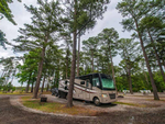 A motorhome at site under tall trees at Camp Cardinal RV Resort - thumbnail
