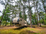 A fifth wheel at site under tall trees at Camp Cardinal RV Resort - thumbnail