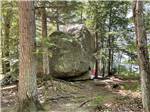 Large boulder surrounded by trees at CLEARWATER CAMPGROUND - thumbnail