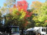 RV's parked at Ames Brook Campground - thumbnail