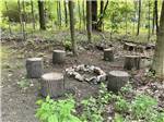 View larger image of Wood stumps surrounding a fire pit at BONNIE BRAE CABINS  CAMPSITES image #11