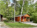 View larger image of A row of rental cabins at BONNIE BRAE CABINS  CAMPSITES image #12