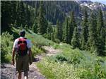 View larger image of A man hiking on a trail in the mountains at LIGHTNER CREEK CAMPGROUND  CABINS image #12